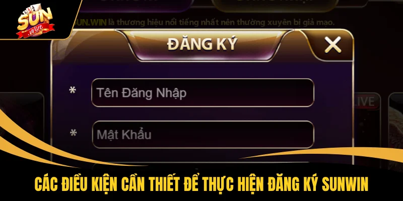 Các điều kiện cần thiết để thực hiện đăng ký SUNWIN